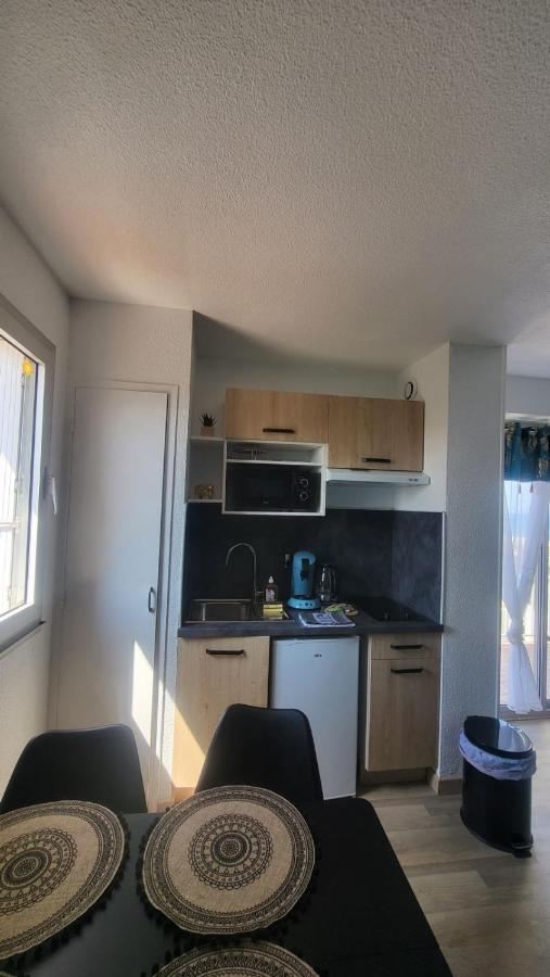 Vu Mer, Refait A Neuf, Spacieux, Agreable, Reactif Saint-Cyprien (Pyrenees-Orientales)