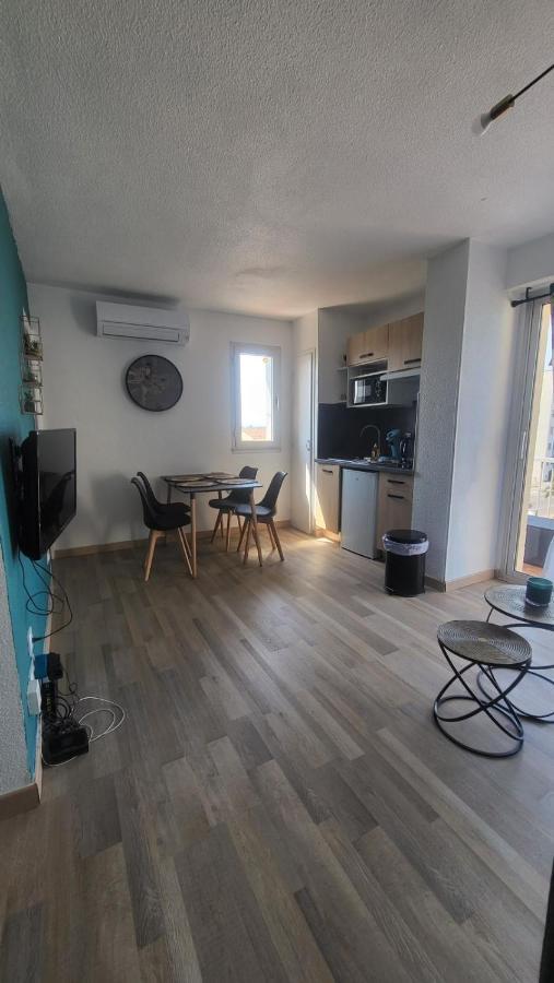 Vu Mer, Refait A Neuf, Spacieux, Agreable, Reactif Apartment Saint-Cyprien (Pyrenees-Orientales)