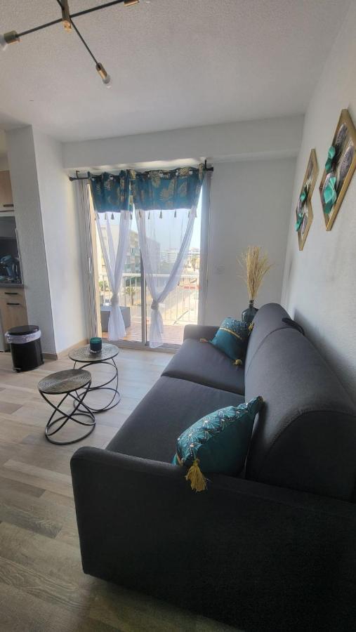 Vu Mer, Refait A Neuf, Spacieux, Agreable, Reactif * Saint-Cyprien (Pyrenees-Orientales)