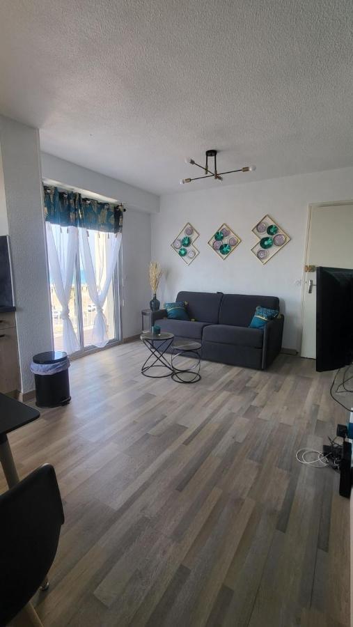 Vu Mer, Refait A Neuf, Spacieux, Agreable, Reactif Apartment Saint-Cyprien (Pyrenees-Orientales)